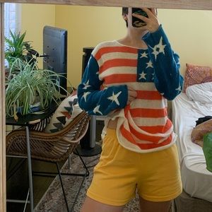 wildfox american flag sweater